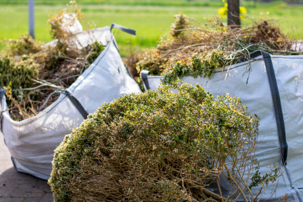 Best Construction Debris Removal  in Goldstream, AK